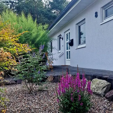 Allerdings * Wietzendorf